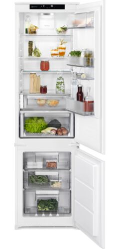Холодильники Холодильник Electrolux RNS9TE19S, фото 1